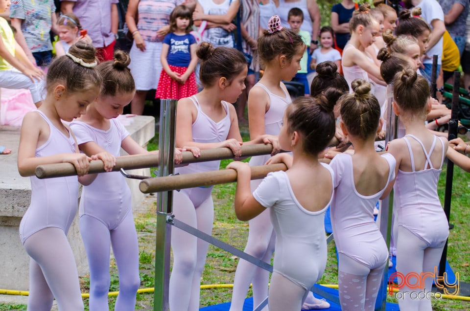 Balet în aer liber, Ars Nova Centru Fitness