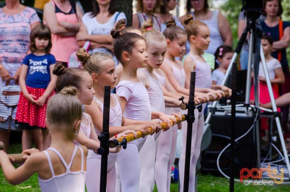 Balet în aer liber, Ars Nova Centru Fitness