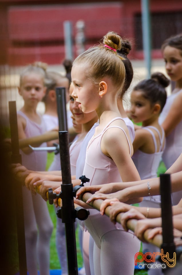 Balet în aer liber, Ars Nova Centru Fitness