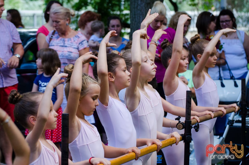 Balet în aer liber, Ars Nova Centru Fitness