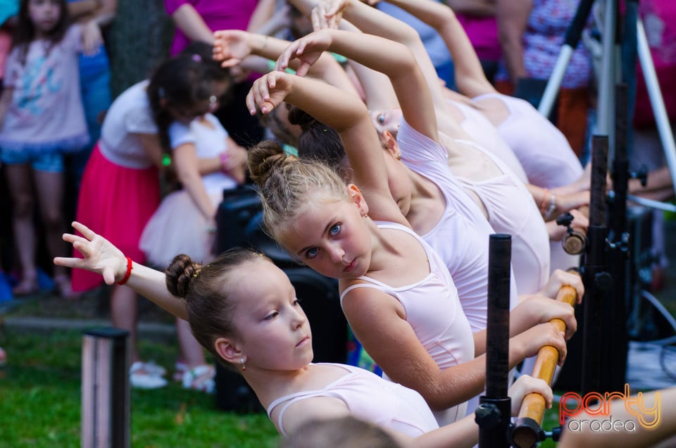 Balet în aer liber, Ars Nova Centru Fitness