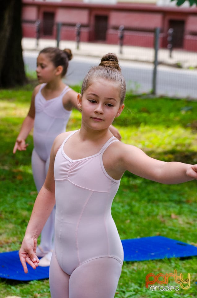 Balet în aer liber, Ars Nova Centru Fitness