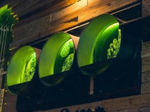 Bar Quiz