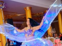 Belly dance Show