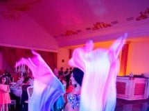 Belly dance Show