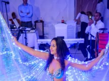 Belly dance Show