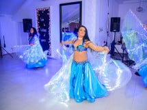 Belly dance Show