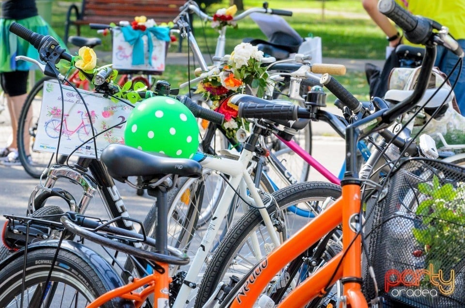 Biciclete Cochete, Oradea