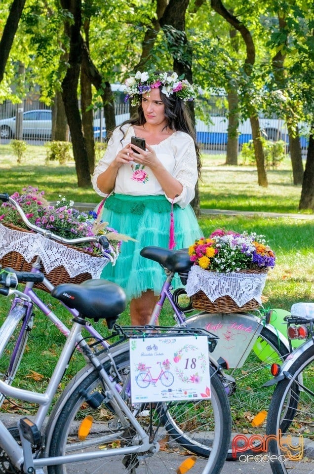 Biciclete Cochete, Oradea