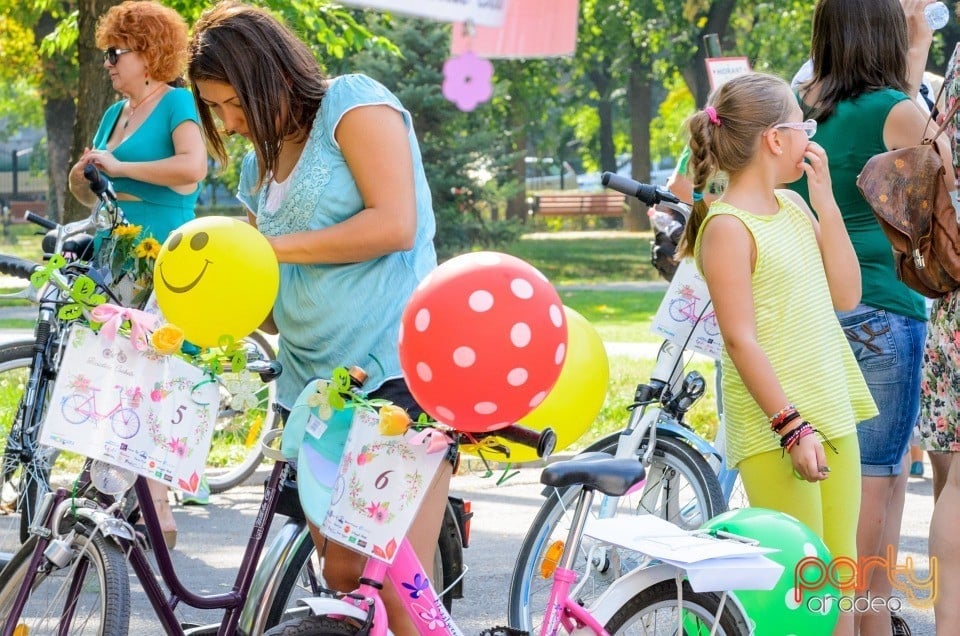 Biciclete Cochete, Oradea