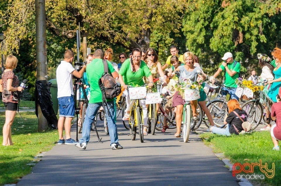 Biciclete Cochete, Oradea