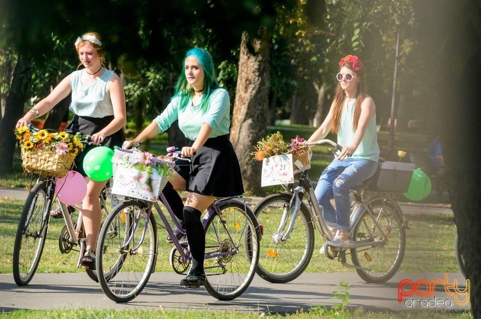 Biciclete Cochete, Oradea