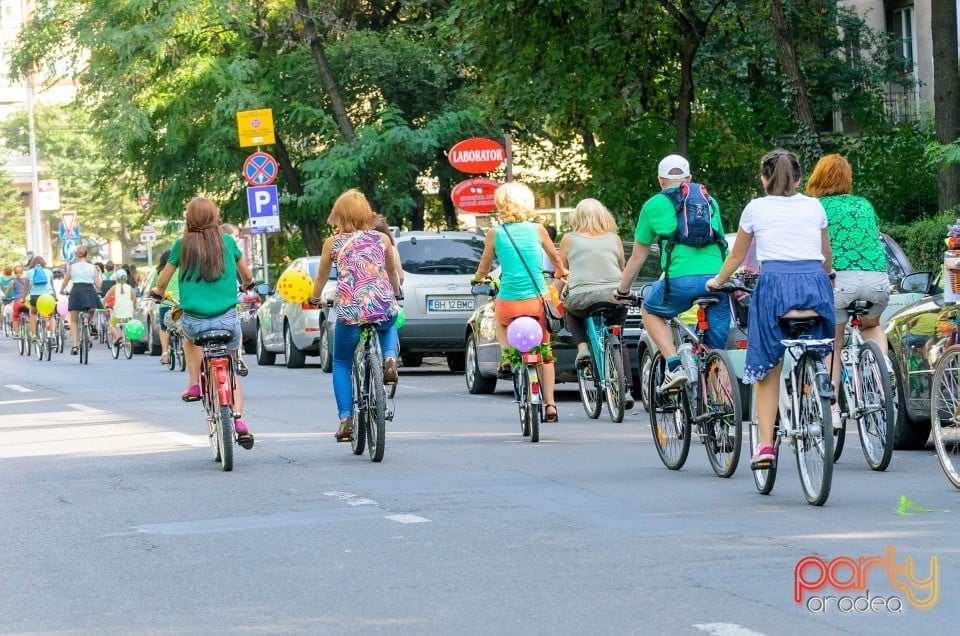 Biciclete Cochete, Oradea