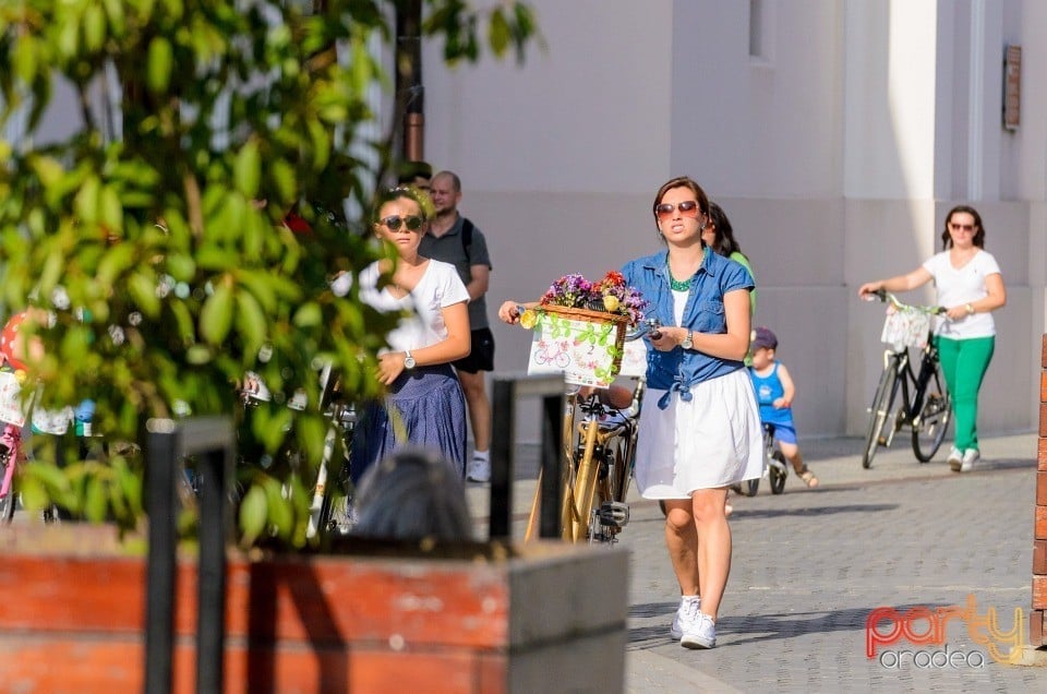 Biciclete Cochete, Oradea