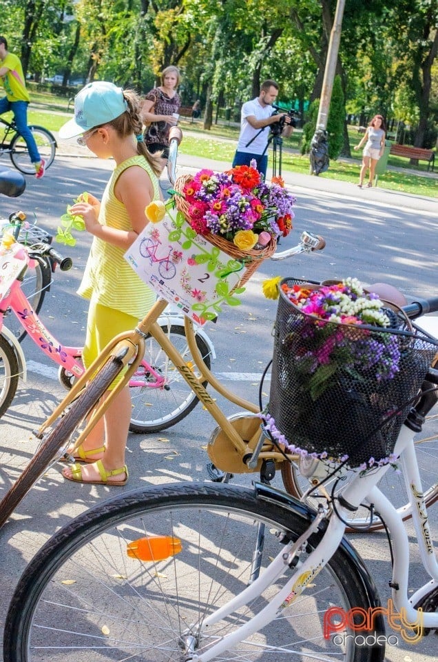 Biciclete Cochete, Oradea