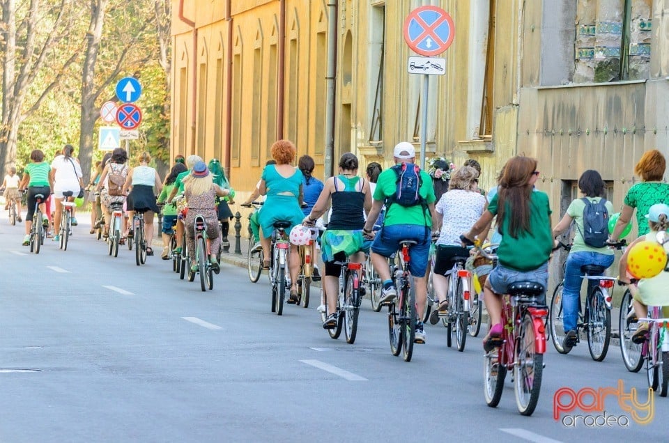 Biciclete Cochete, Oradea