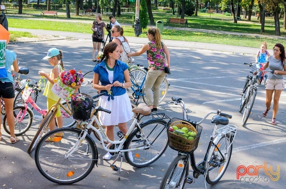 Biciclete Cochete, Oradea