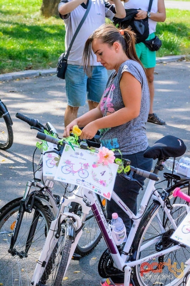 Biciclete Cochete, Oradea