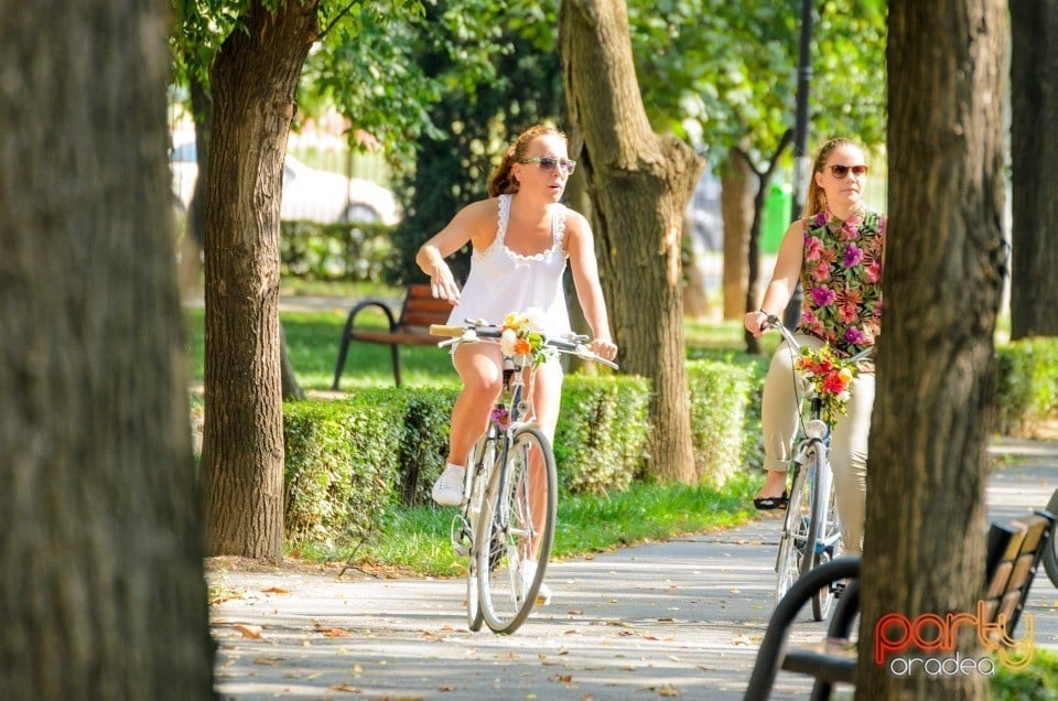 Biciclete Cochete, Oradea