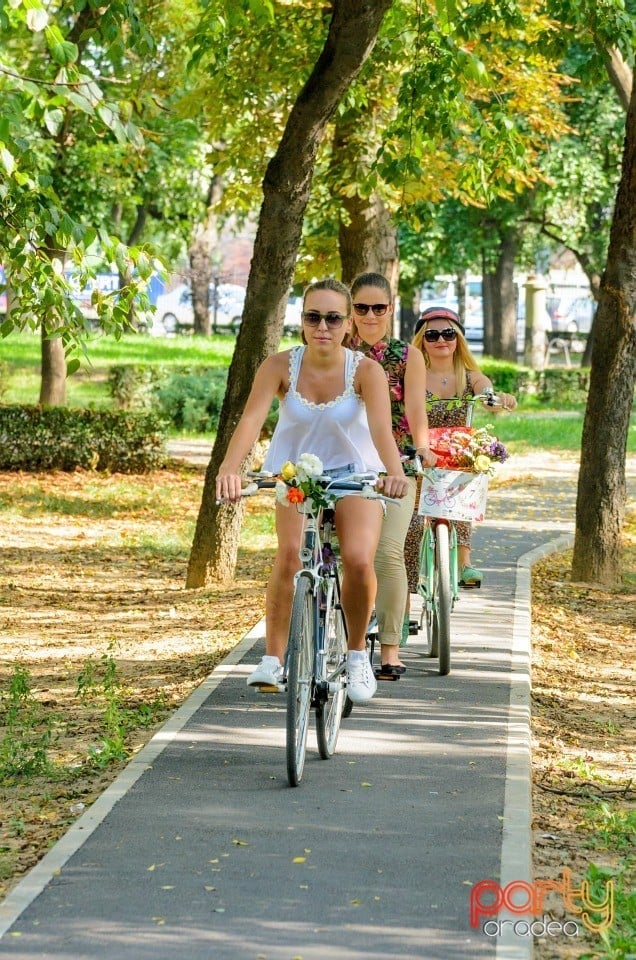 Biciclete Cochete, Oradea