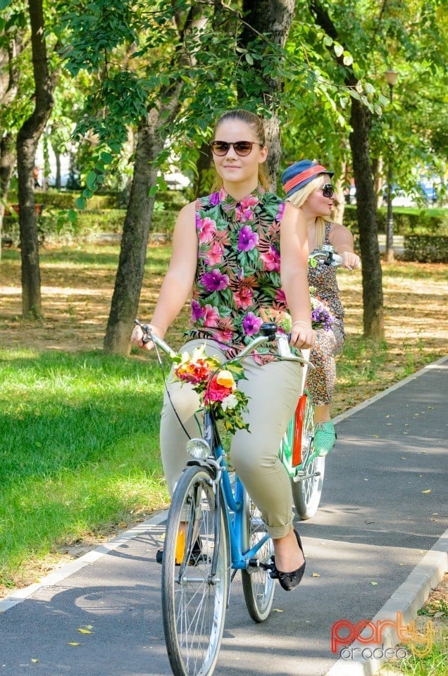 Biciclete Cochete, Oradea