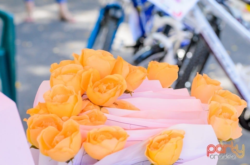 Biciclete Cochete, Oradea