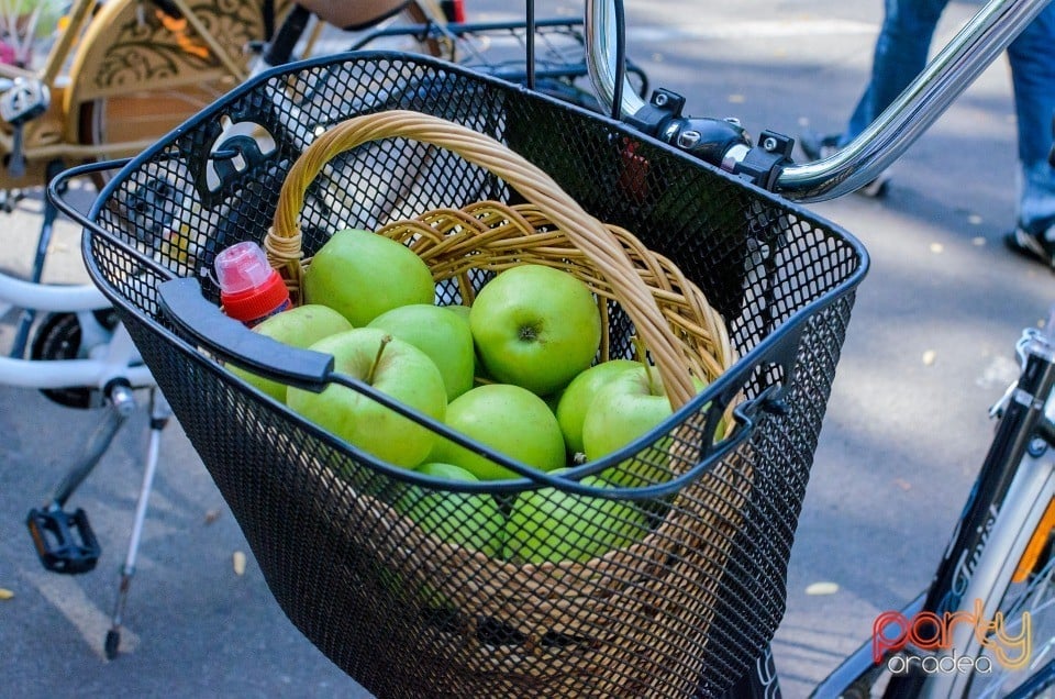 Biciclete Cochete, Oradea