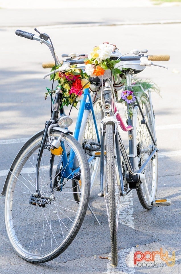 Biciclete Cochete, Oradea