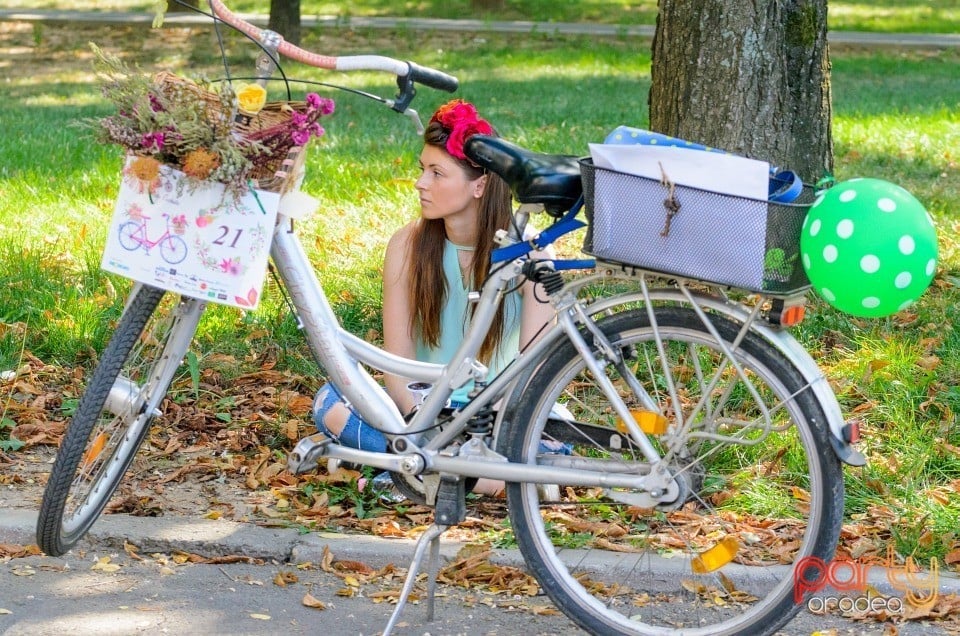 Biciclete Cochete, Oradea