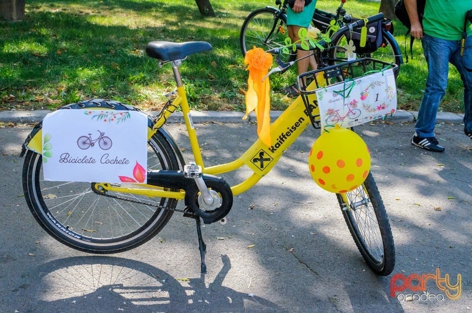 Biciclete Cochete, Oradea