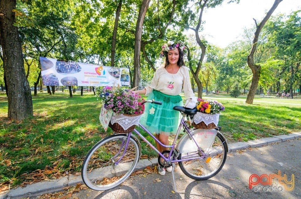 Biciclete Cochete, Oradea