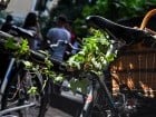 BIKE EXPO