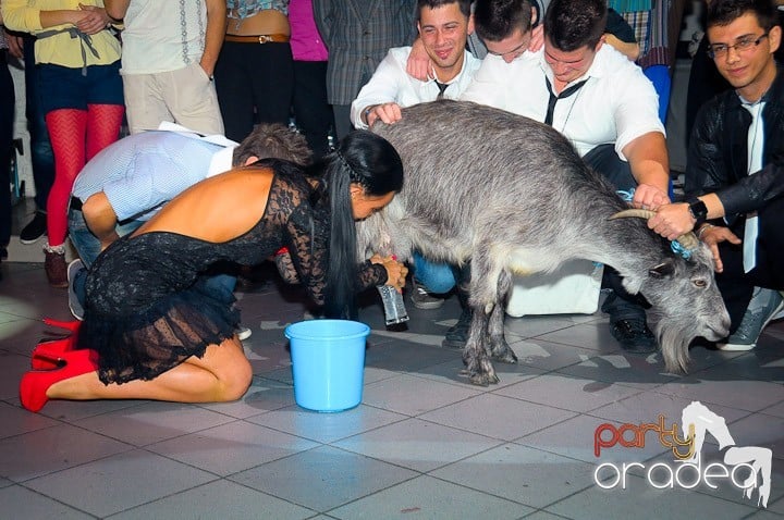 Bobociada Unifest,