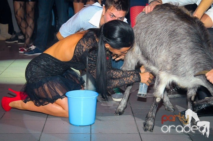 Bobociada Unifest,