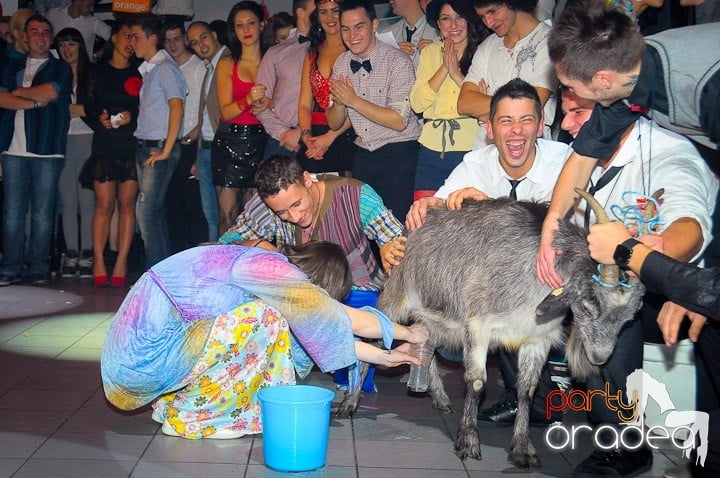 Bobociada Unifest,