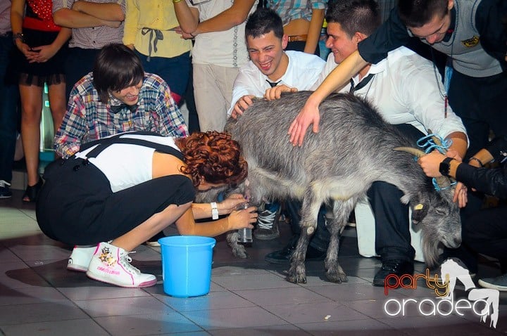 Bobociada Unifest,