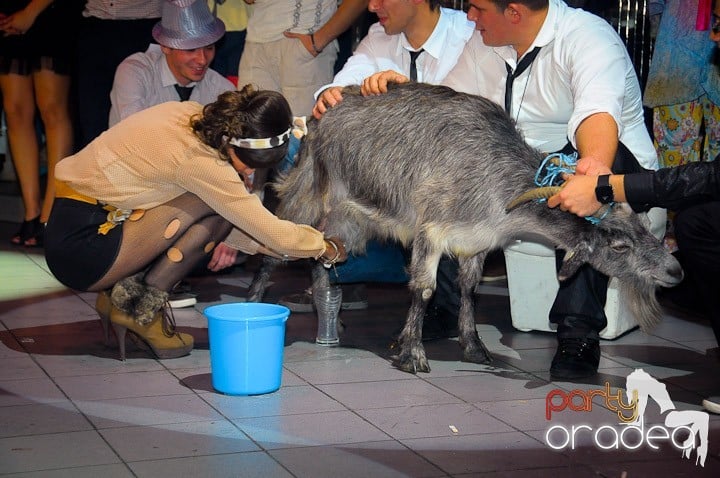 Bobociada Unifest,