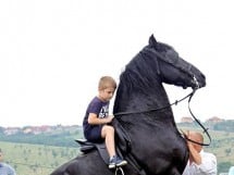 Călărie Il Cavallino