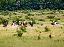 Călărie Il Cavallino