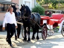 Călărie Il Cavallino