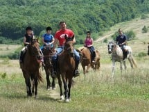 Călărie Il Cavallino