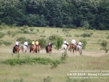 Călărie Il Cavallino