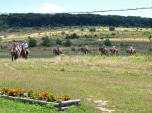 Călărie Il Cavallino