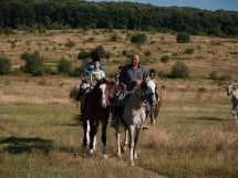 Călărie Il Cavallino