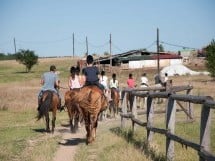 Călărie Il Cavallino