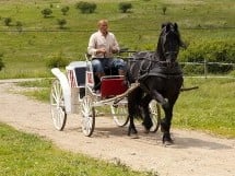 Călărie Il Cavallino