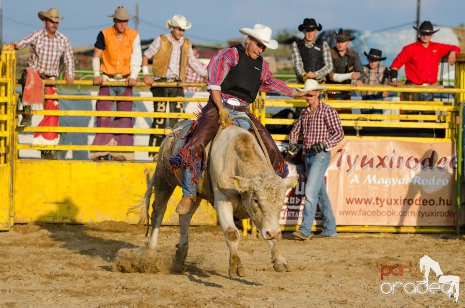 Campionat European de Rodeo, Băile Felix