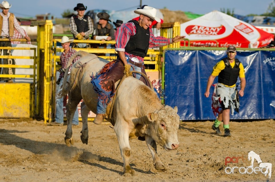 Campionat European de Rodeo, Băile Felix