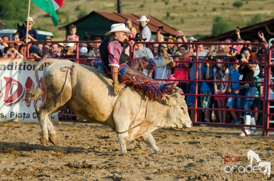 Campionat European de Rodeo, Băile Felix