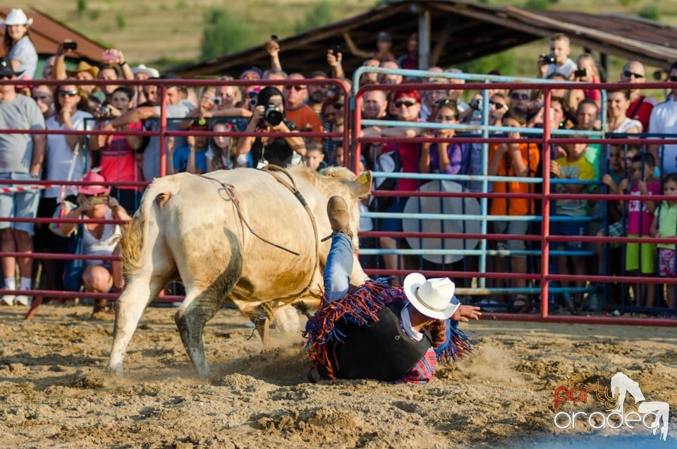 Campionat European de Rodeo, Băile Felix